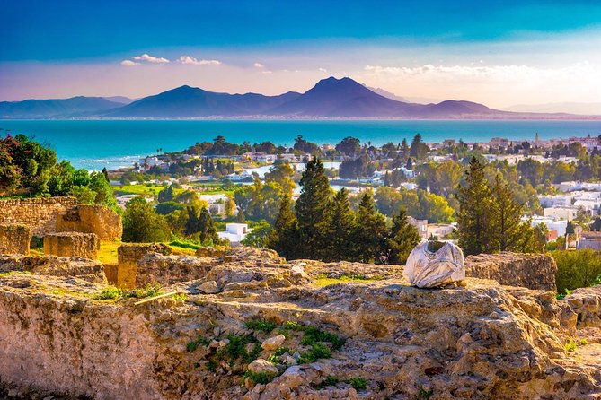 tunis-carthage-bardo-museum-sidi-bou-said-and-medina-day-tour-highlights-of-the-tour