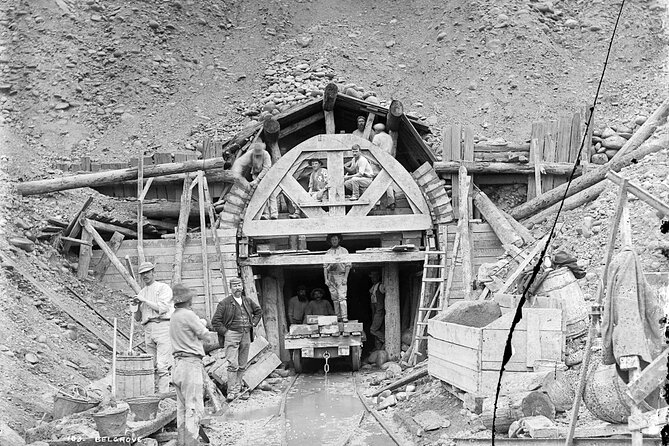 Tunnel to Town - Via Mapua - Included Equipment and Transport