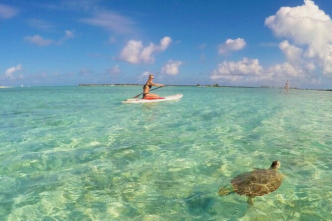 20 Best Canoe And Kayak Experiences In Providenciales