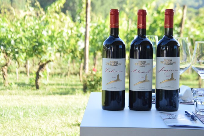 tuscany-wine-tours-in-a-family-winery-podere-pellicciano-winery-location-and-history