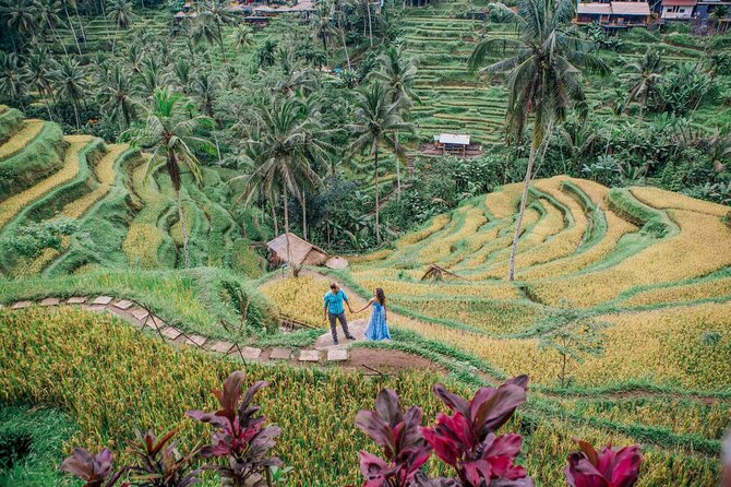 Ubud Tour - Best of Ubud Private Tour With Guide - All Inclusive - Traditional House Experience