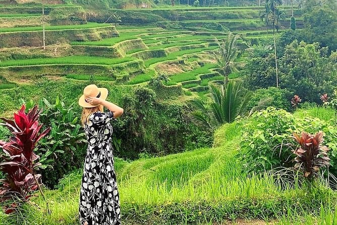 Ubud Tour - Ubud Highlight - Private Tour All Inclusive