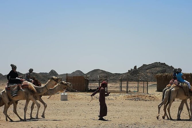 ultimate-desert-experience-comprehensive-safari-details