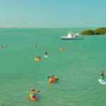 ultimate-key-west-kayak-eco-tour-mangrove-and-sandbar-adventure-tour-highlights