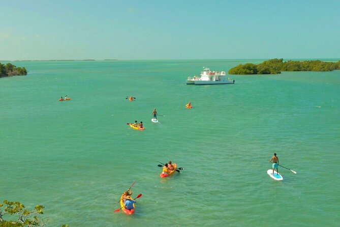 Ultimate Key West Kayak Eco-Tour: Mangrove and Sandbar Adventure