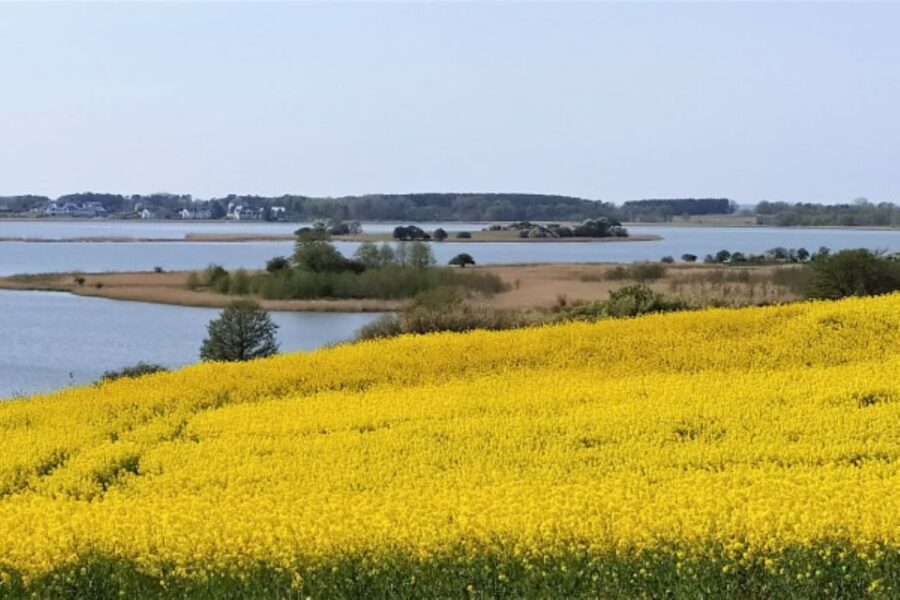 usedom-nature-park-tour-tour-overview