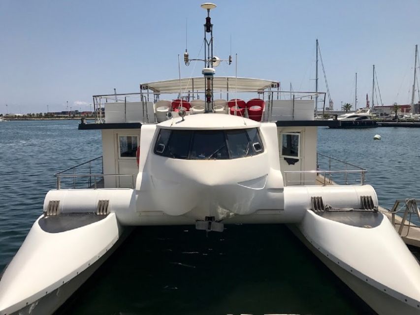 Valencia: Catamaran Cruise, Paella Lunch and Swim Stop