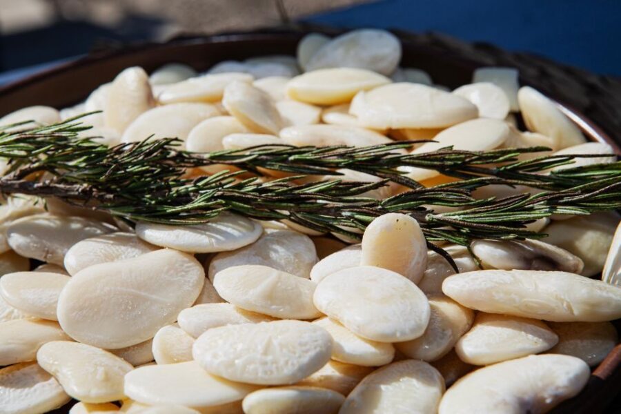 Valencia: Paella Full Experience Workshop at Villa Indiano - Background of the Experience