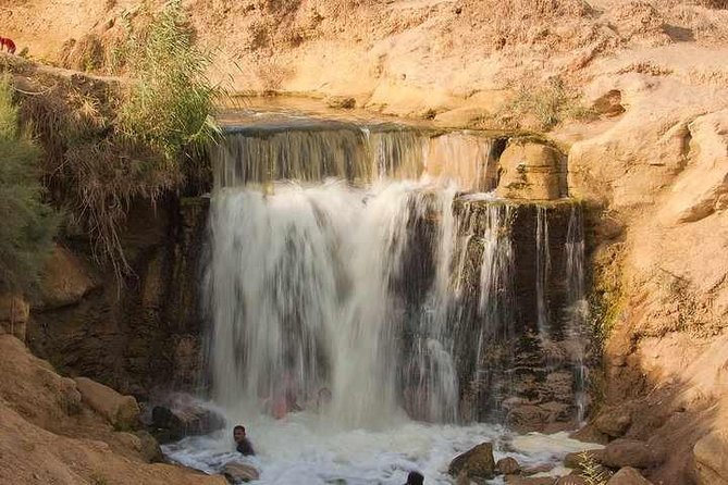 Valley of Whales and Wadi El Rayan Water Falls Day Tour From Cairo