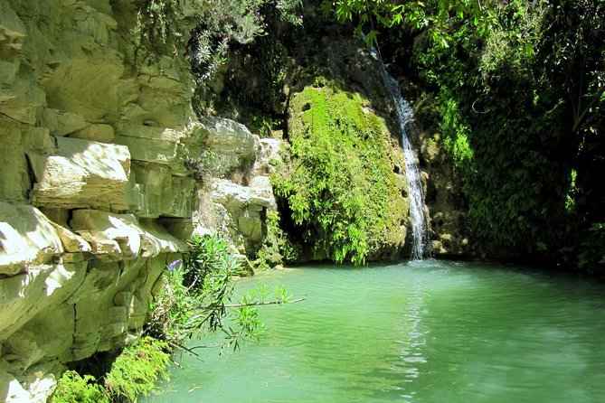 5 Best Lunch Experiences In Paphos