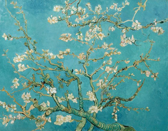Van Gogh Museum Amsterdam and 1-Hour Canal Cruise - Overview of the Experience