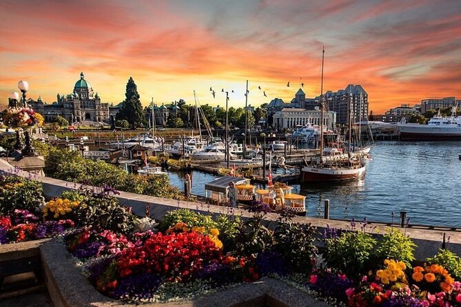 Vancouver Island 2-Day Tour 3/4/5 Star Hotel (Chinese & Eng) - Tour Overview