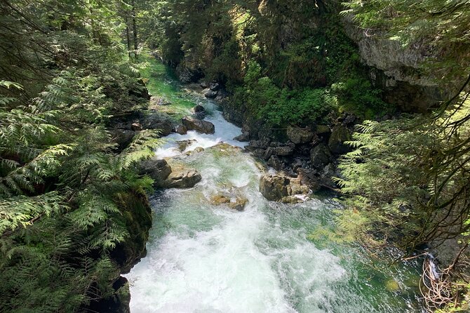 Vancouver Rainforest Hike With Waterfalls, Suspension Bridge, Old Growth Forest - Overview of the Guided Hike