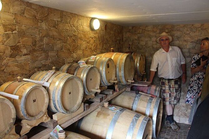 vesterhave-vineyard-and-wine-shop-visit-organically-produced-overview-of-vesterhave-vineyard