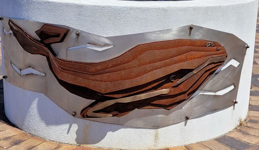 Victor Harbor: Stories of Shipwrecks & Settlers Walking Tour