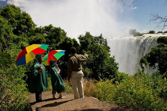 Victoria Falls Guided Tour - Tour Overview