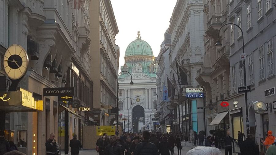 Vienna Historical Highlight City Tour + Hofburg - Tour Overview