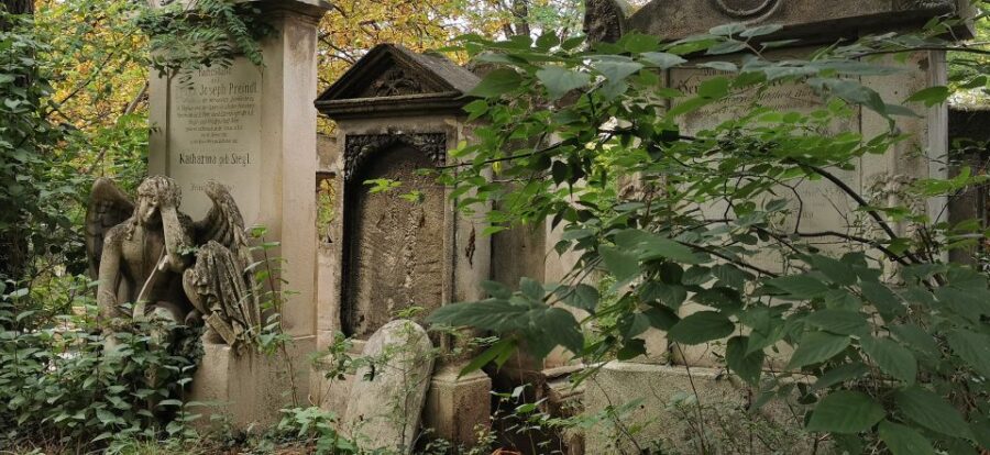vienna-private-walking-tour-st-marx-cemetery-mozart-tomb-highlights-of-the-walking-tour
