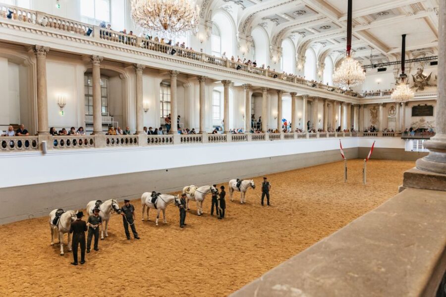 Vienna: Spanish Riding School Training - Observing Morning Exercise