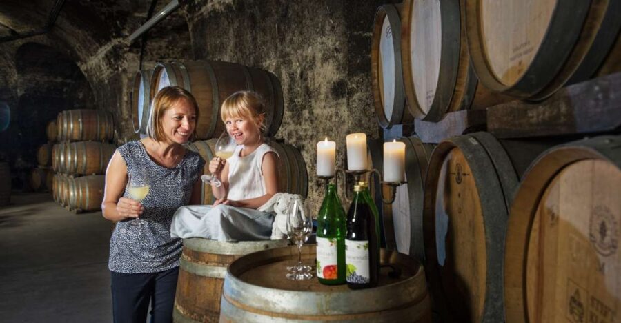 Vienna: Wine Tasting E-Bike Tour - Tour Overview