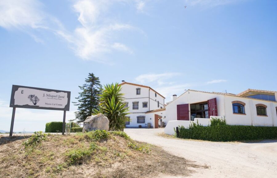 Vilafranca Del Penedès: Winery Visit With Tastings - Overview and Pricing