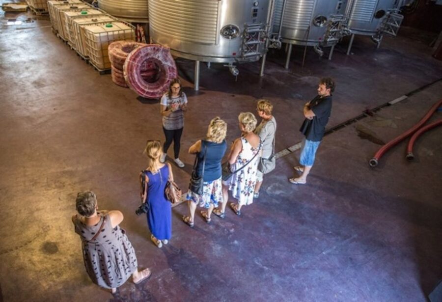 Vineyards of Alicante: Wine Tasting Tour - Overview of the Tour