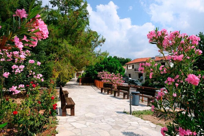 Vino Venture: Explore With a Local – Troodos Mountains Thru Wine!