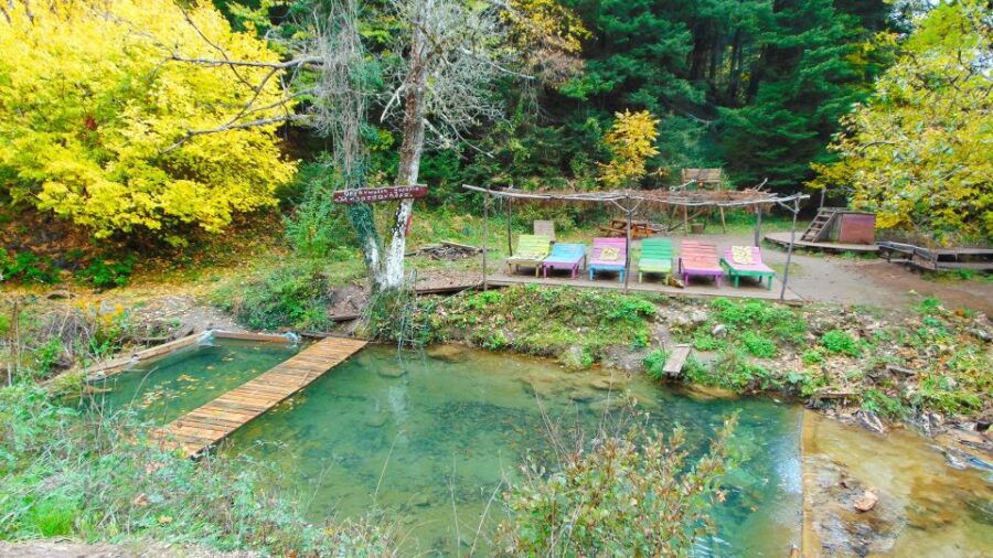 VIP Day Tour From Athens: Pavliani Forest Park TREK - Explore the Pavliani Forest Park
