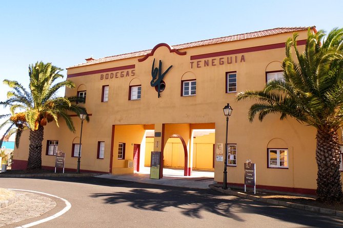 Visit Bodegas Teneguía Winery in La Palma With Wine Tasting
