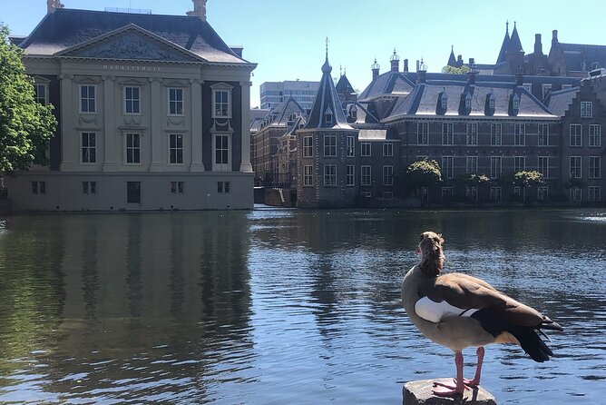 Visit the Girl With the Pearl Earing, the Hague & Delft City - Private Day Tour - Tour Overview