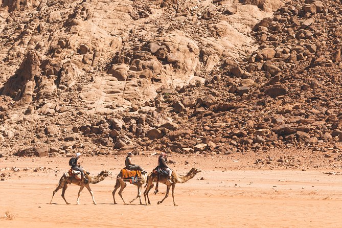 Wadi Rum: Camel Trek Adventure - Overview of the Camel Trek Adventure