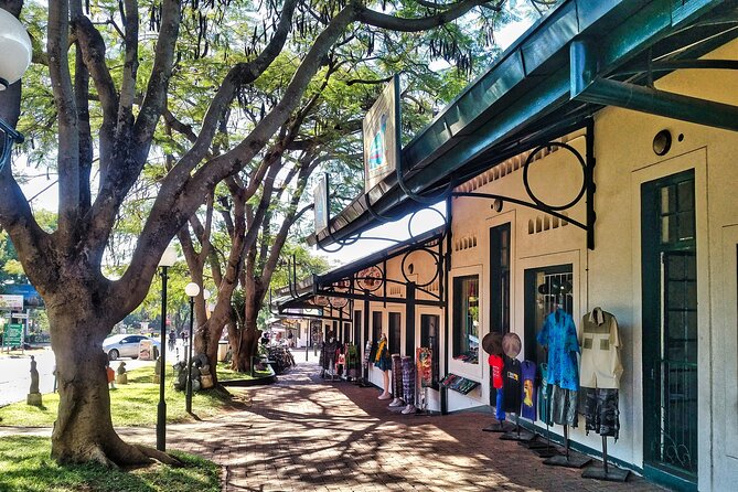 Walking Safari of Victoria Falls Town - Tour Overview