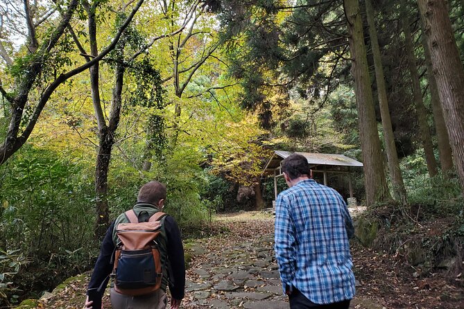 Walking Through the Aso Caldera, Historical Walk Along the Bungo Kaido - Tour Overview and Highlights