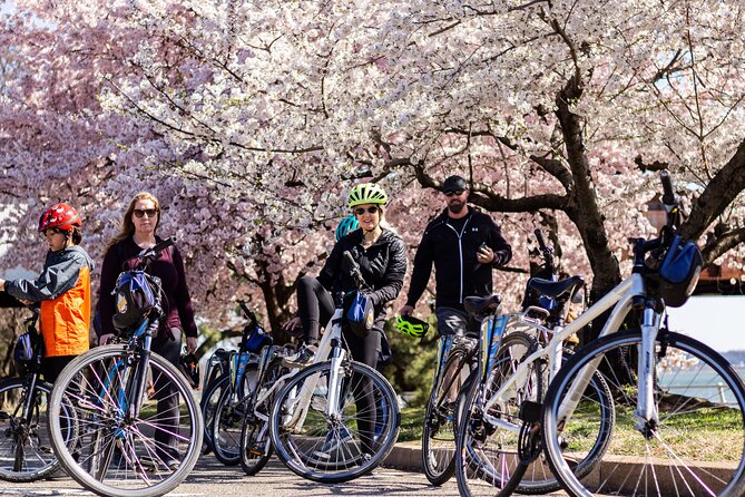 Washington DC Cherry Blossoms By Bike Tour - Tour Overview