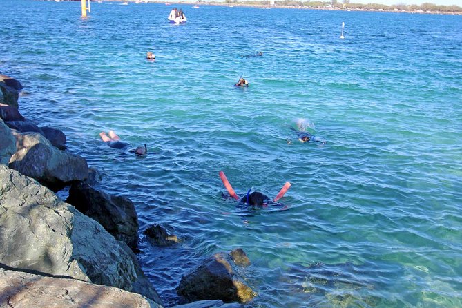 Wave Break Island Snorkel Tour on the Gold Coast