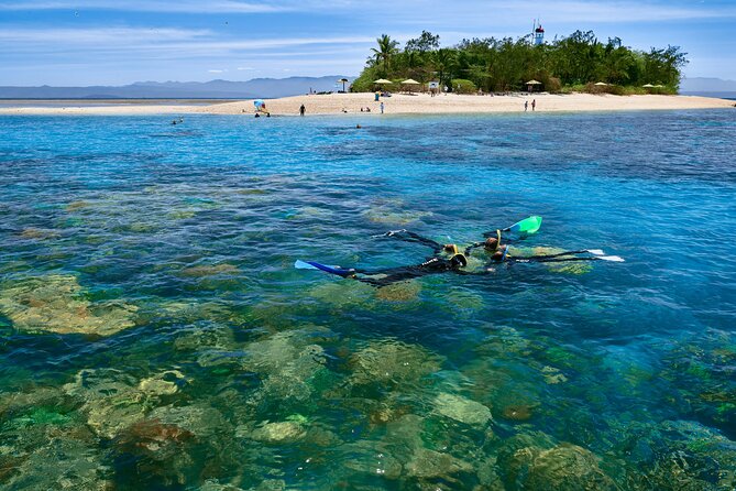 Wavedancer Low Isles Great Barrier Reef Sailing Cruise From Cairns