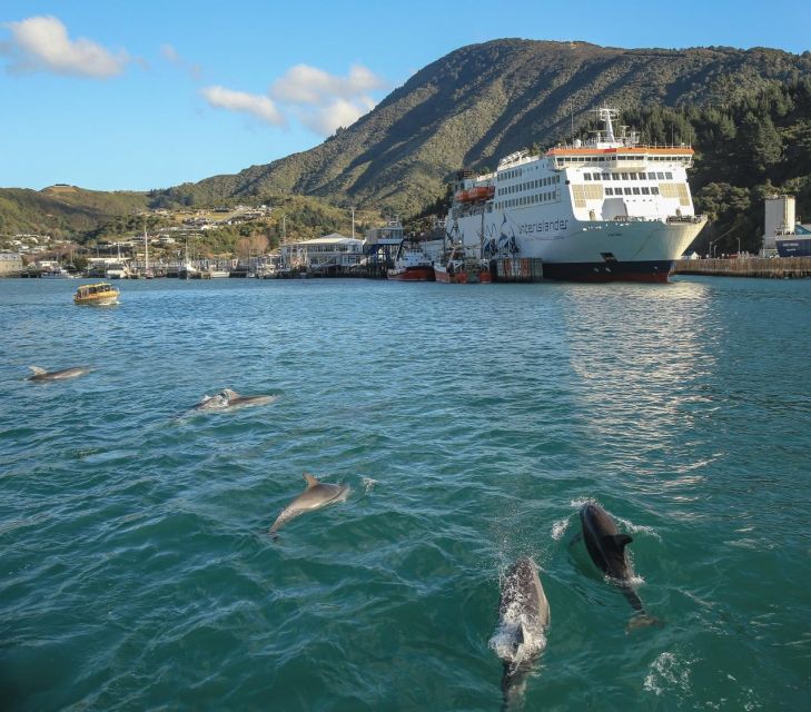 Wellington and Picton: Interislander Ferry - Ferry Services Overview