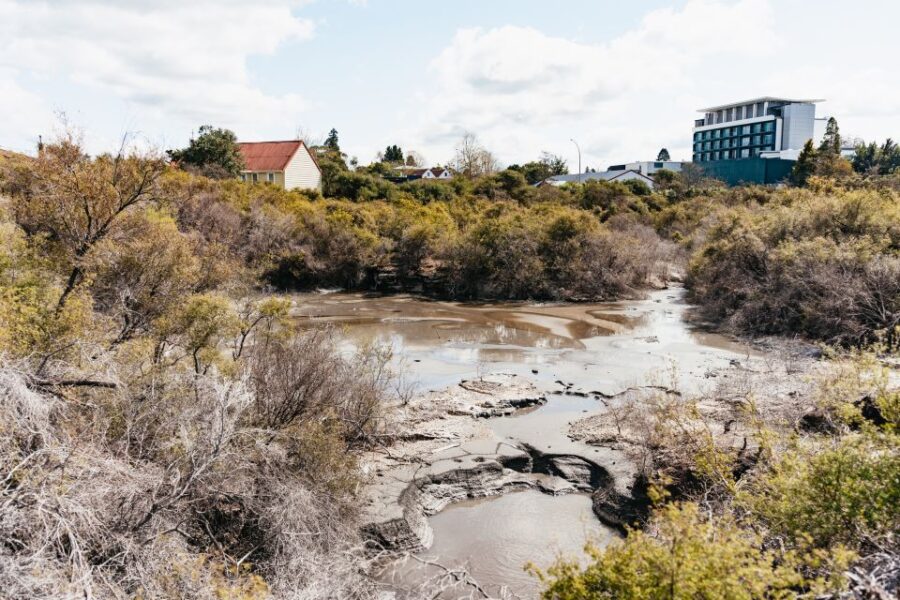 Whakarewarewa: Entrance to the Geothermal Trails - Entrance Ticket Price