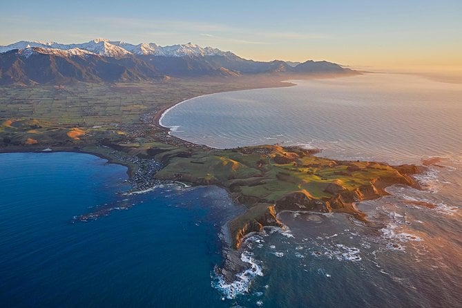 16 Best Whale Watching Experiences In Kaikoura | Power Traveller