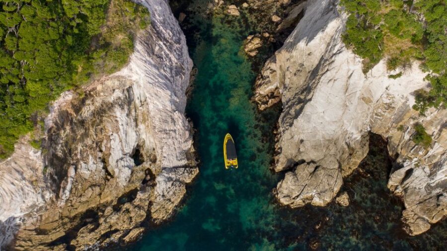 Whitianga: Cathedral Cove Highlights Boat Tour