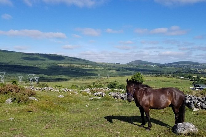wicklow-mountains-horse-trekking-overview-and-details