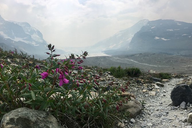 Wilcox Pass