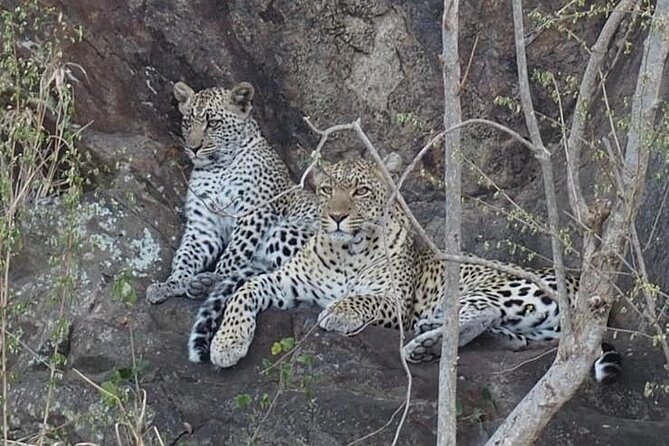 Wildlife Safari Tanzania - Inclusions and Exclusions