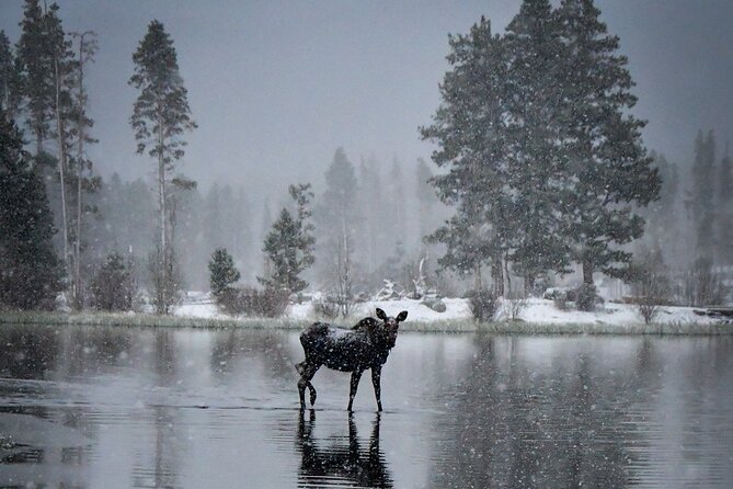 wildside-4x4s-winter-wonderland-photo-tour-overview-of-the-tour