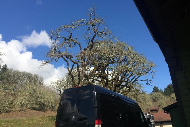 Willamette Valley Character Winery Tour - Tour Overview
