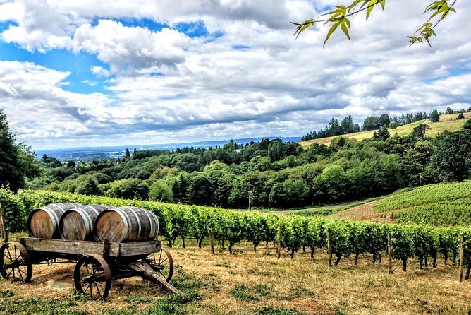 Willamette Valley Wine Tour - Full Day Tour