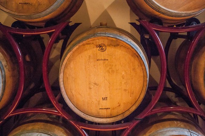 Wine Making Experience and Gourmet Dinner at a Boutique Winery in Tuscany - Overview of the Experience