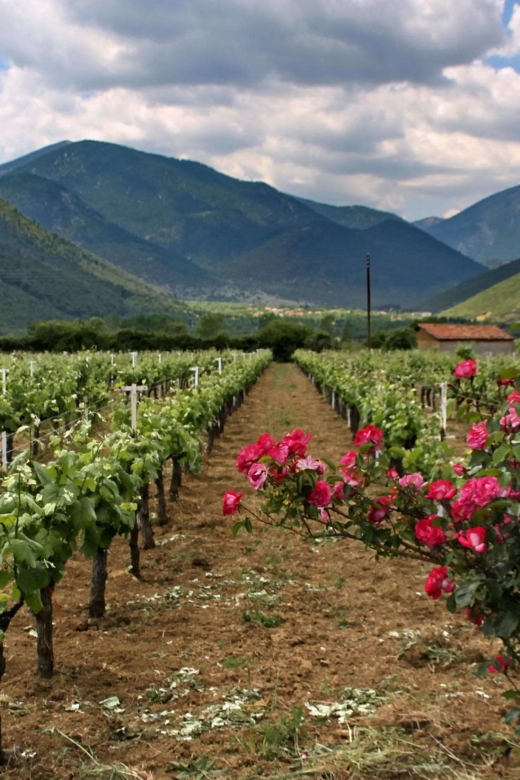 Wine Tour & Tasting in an Organic Winery in Arcadia, Greece!
