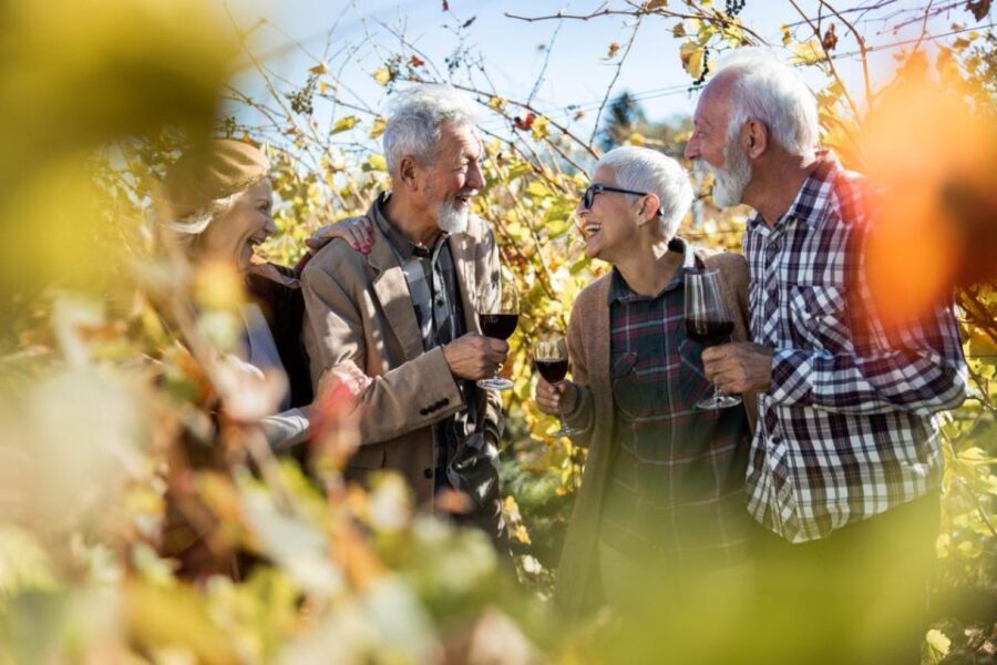 wines-and-whispers-a-barossa-valley-wine-tour-from-adelaide-exploring-chateau-yaldaras-historic-winery