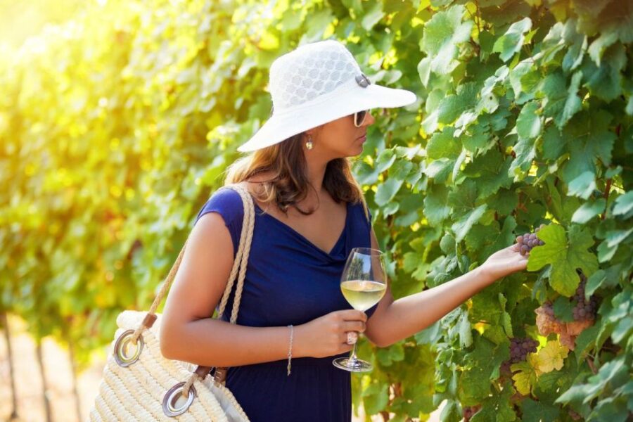 Wines, Olives, and History: a Private Wine Tour From Chania